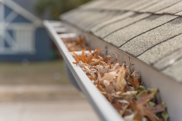 Leaf Barrier Installation in Mableton